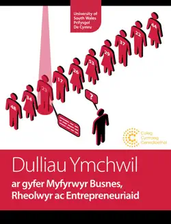 dulliau ymchwil book cover image