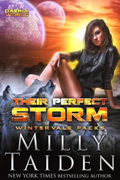 their perfect storm book cover image