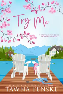 try me book cover image