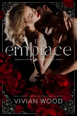 the embrace book cover image