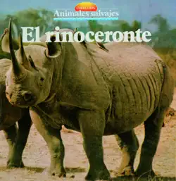 el rinoceronte book cover image
