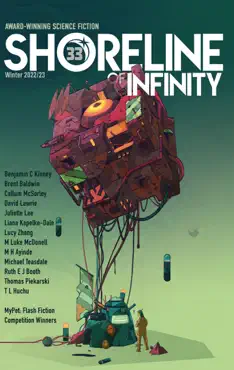 shoreline of infinity 33 book cover image