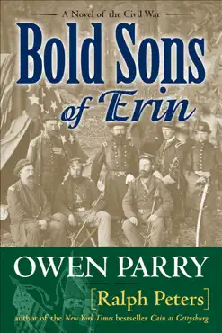 bold sons of erin book cover image