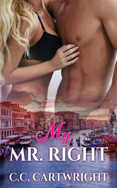 my mr. right book cover image