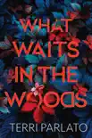 What Waits in the Woods synopsis, comments