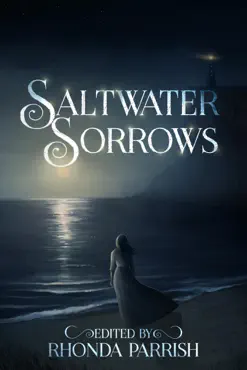 saltwater sorrows book cover image