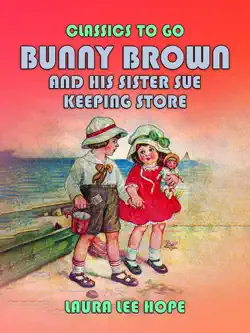 bunny brown and his sister sue keeping store book cover image