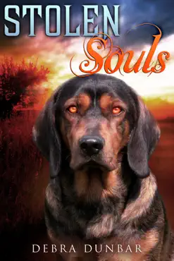 stolen souls book cover image