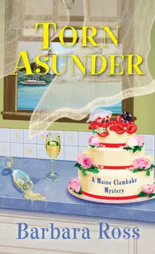 torn asunder book cover image