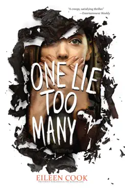 one lie too many book cover image