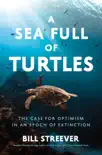 A Sea Full of Turtles synopsis, comments
