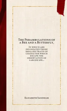 the perambulations of a bee and a butterfly, book cover image