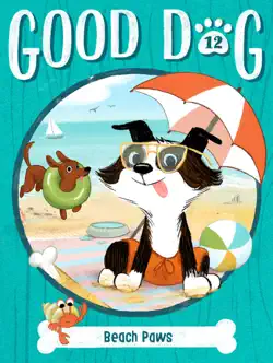 beach paws book cover image