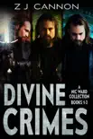 Divine Crimes synopsis, comments