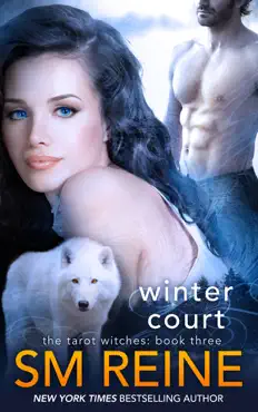 winter court book cover image