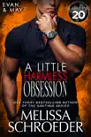 A Little Harmless Obsession synopsis, comments