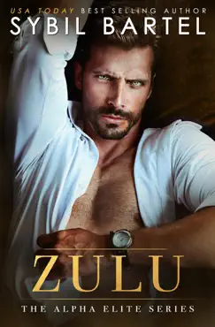 zulu book cover image