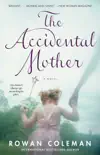 The Accidental Mother synopsis, comments