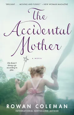 the accidental mother book cover image