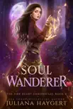 Soul Wanderer synopsis, comments