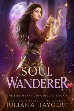 soul wanderer book cover image