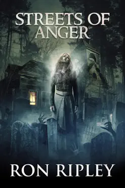 streets of anger book cover image