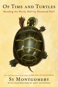 of time and turtles book cover image