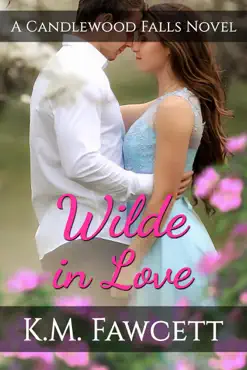 wilde in love book cover image