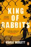 King of Rabbits synopsis, comments