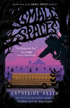 small spaces book cover image