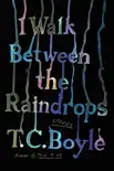 I Walk Between the Raindrops synopsis, comments