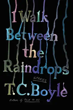 i walk between the raindrops book cover image