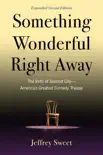 Something Wonderful Right Away synopsis, comments