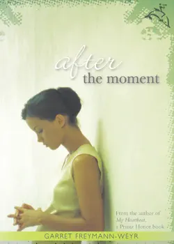 after the moment book cover image