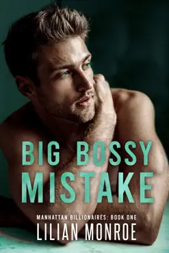 big bossy mistake book cover image