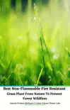 Best Non-Flammable Fire Resistant Grass Plant From Nature to Prevent Forest Wildfires synopsis, comments