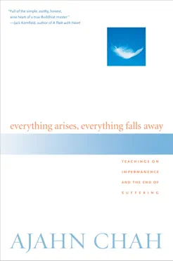 everything arises, everything falls away book cover image