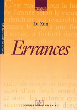errances book cover image