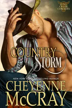 country storm book cover image