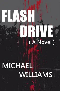 flash drive book cover image