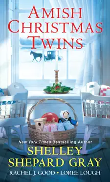 amish christmas twins book cover image