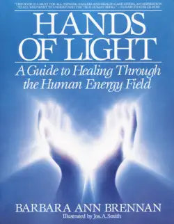 hands of light book cover image