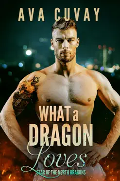 what a dragon loves book cover image
