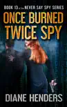 Once Burned, Twice Spy synopsis, comments