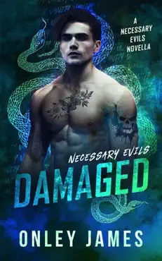 damaged book cover image