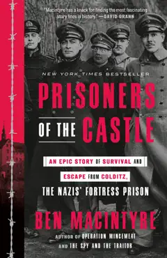 prisoners of the castle book cover image