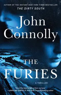 the furies book cover image
