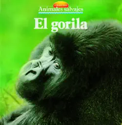 el gorila imagen de la portada del libro