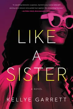 like a sister book cover image