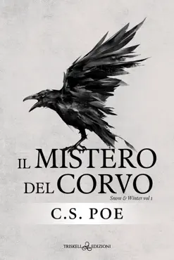 il mistero del corvo book cover image